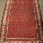 766 3160 ORIENTAL RUG